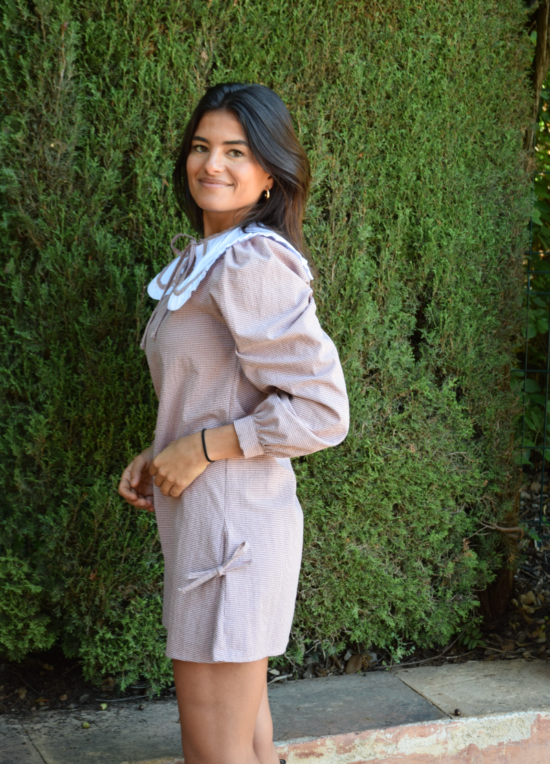 Elisa Vichy Burgundy Dress