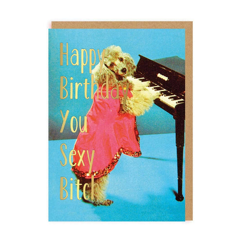 Happy Birthday Sexy Bitch Greeting Card - MarramTrading.com