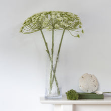 Load image into Gallery viewer, Glass Vase Clear Ripple Tall
