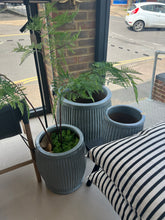 Load image into Gallery viewer, Ribbed Grey Planter - Large
