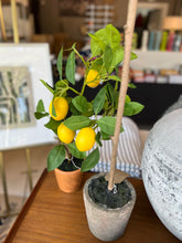 Load image into Gallery viewer, Faux Lemon Tree in Clay Pot
