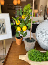 Load image into Gallery viewer, Faux Lemon Tree in Clay Pot
