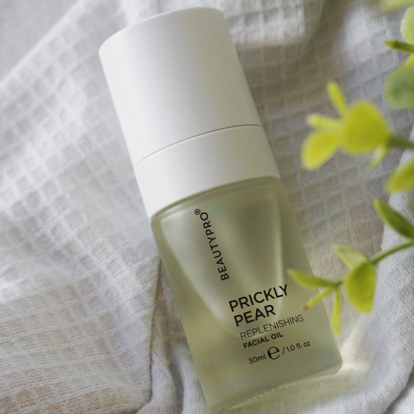 PRICKLY PEAR Facial Oil