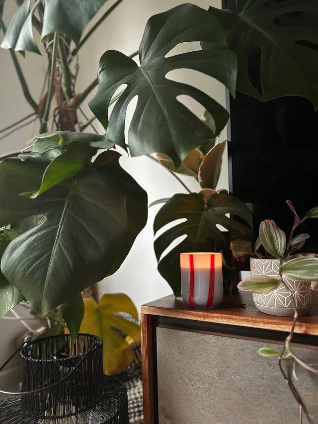 Atina Candle - Tomato & Mint Leaf - MarramTrading.com