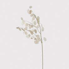 Load image into Gallery viewer, Clear Honesty Spray - MarramTrading.com
