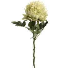 Load image into Gallery viewer, Faux Green Peony - MarramTrading.com
