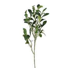 Load image into Gallery viewer, Green Mistletoe Spray - MarramTrading.com
