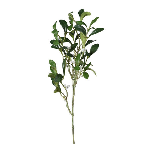 Green Mistletoe Spray - MarramTrading.com