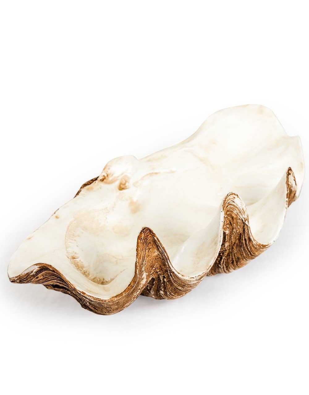Large Clam Shell Decorative Bowl - MarramTrading.com