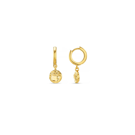 Molten Coin Huggie Hoop Earrings - MarramTrading.com