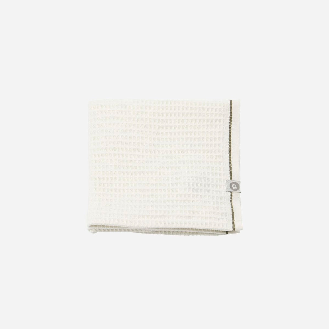Dish Cloth Set of 2 - Green