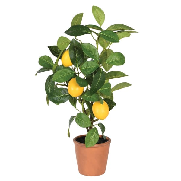Faux Lemon Tree in Clay Pot