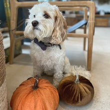 Load image into Gallery viewer, Bronze Velvet Pumpkin Decoration

