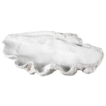 Load image into Gallery viewer, Resin Clam Shell
