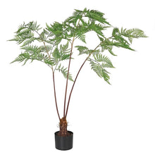 Load image into Gallery viewer, Sword Fern Plant in Black Pot
